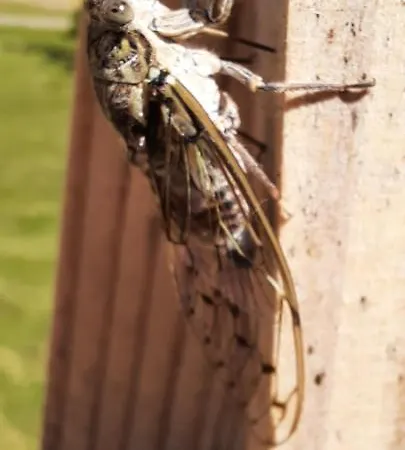 B&B Domaine Du Bancourel